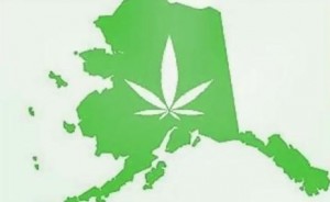 Valdez Town Hall Meeting with Marijuana Board Director