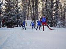 Cross-Country Skiers Hit the Trails for the Third Qaniq Challenge