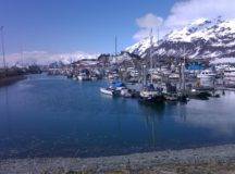 Valdez Small Boat Harbor Oil Spill 4/12 – KCHU Audio