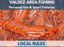 Valdez Fishing Notice