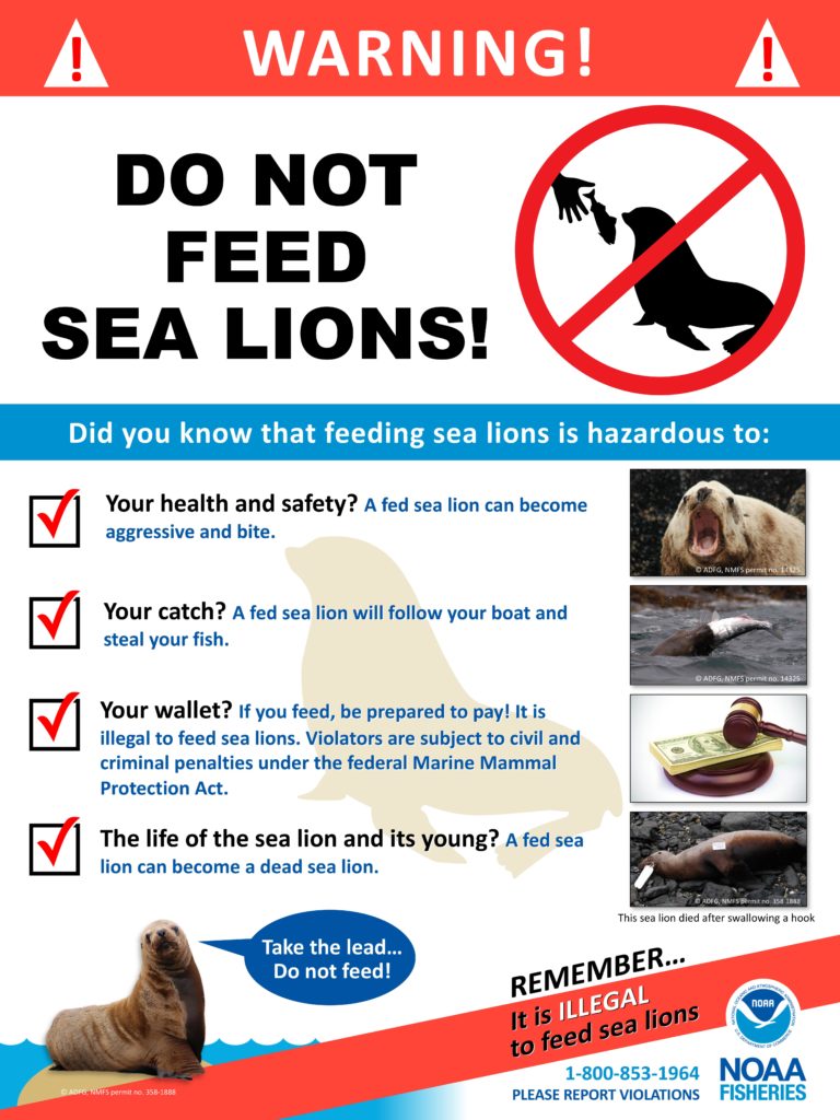 Steller Sea Lion Warning