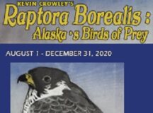 Raptora Borealis Exhibit Online