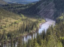 Alaska Native Veteran Land Allotment Outreach